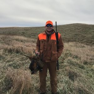 Meet your Posher, Harry